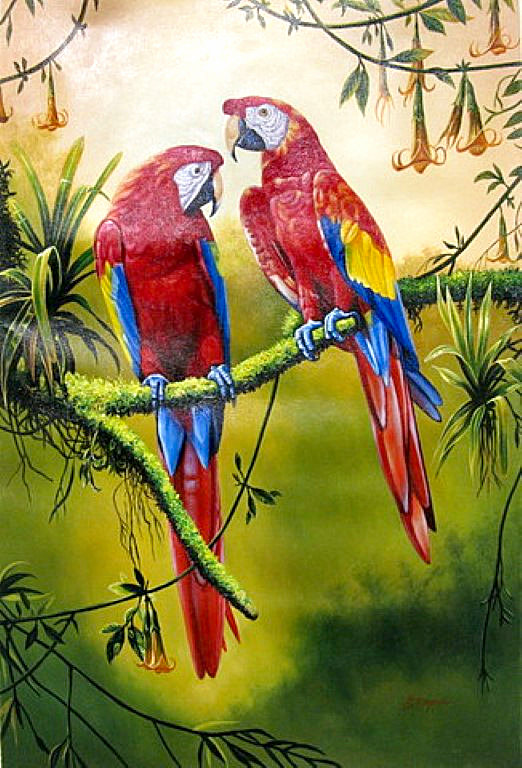 "Parrots" by Pedro Tapia, size 24w x 36h