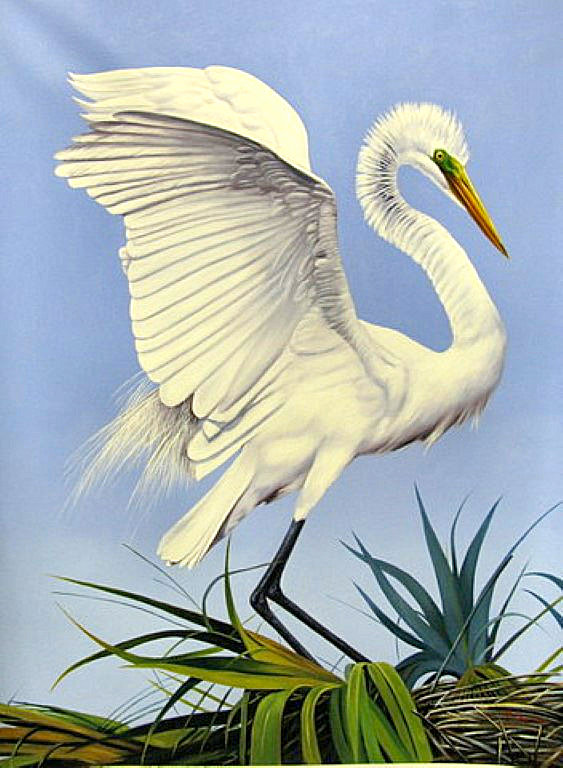 "White Egret" by Pedro Tapia, size 30w x 40h