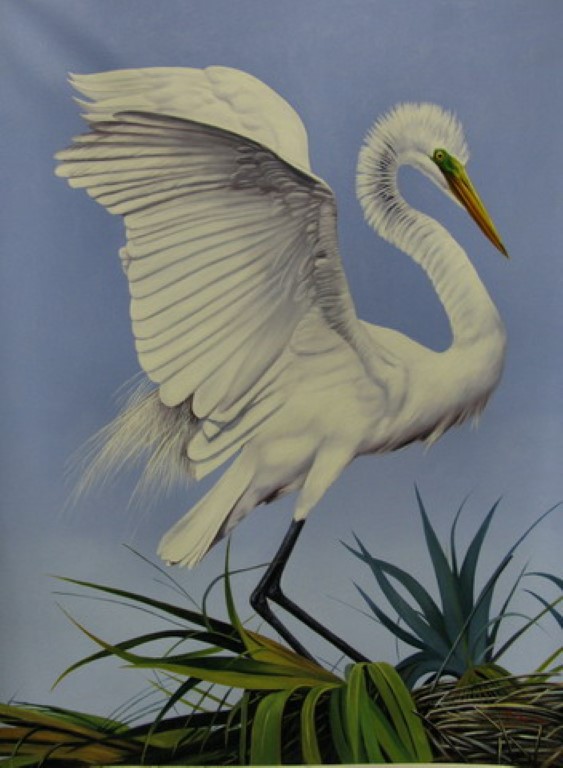 "White Egret" by Pedro Tapia, size 30w x 40h