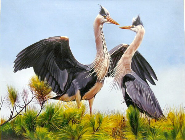"Two Herons" by Pedro Tapia, size 40w x 30h