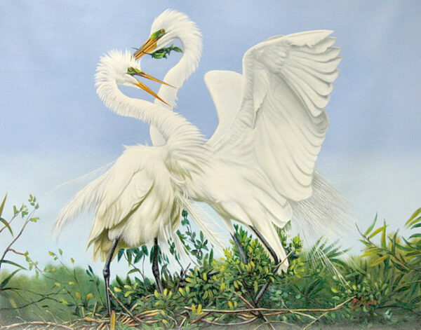 "Egrets Building Nest" by Pedro Tapia, size 40w x 30h