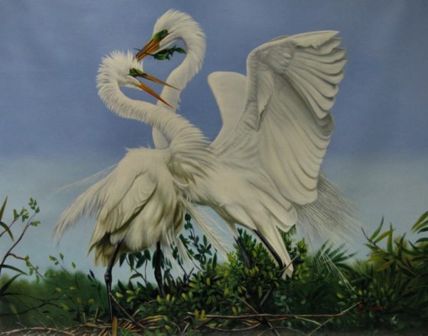 "Egrets Building Nest" by Pedro Tapia, size 40w x 30h