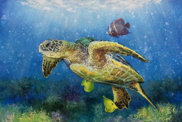 "Sea Turtle" by Paul Wren, size 36w x 24h