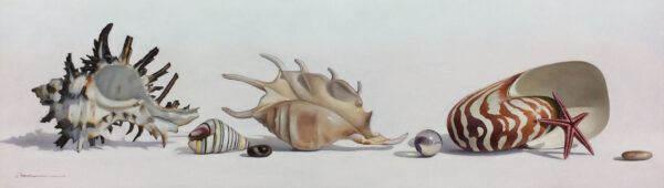 "Shell Series" by Francisco Casas, size 31w x 10h