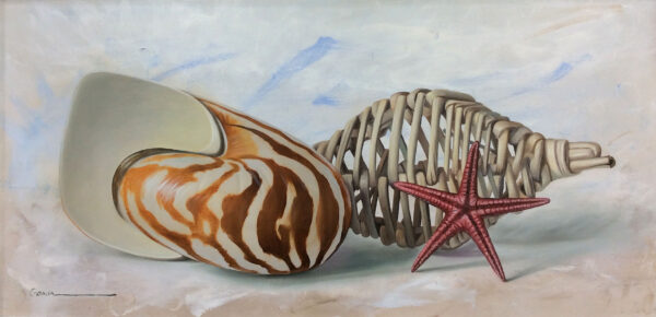 "Shell Series" by Francisco Casas, size 20w x 10h