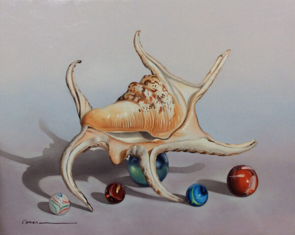 "Shell Series" by Francisco Casas, size 14w x 10h