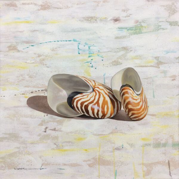 "Shell Series" by Francisco Casas, size 27w x 27h