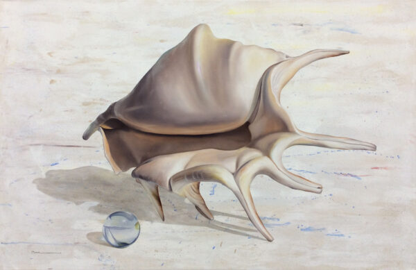 "Shell Series" by Francisco Casas, size 47w x 31h