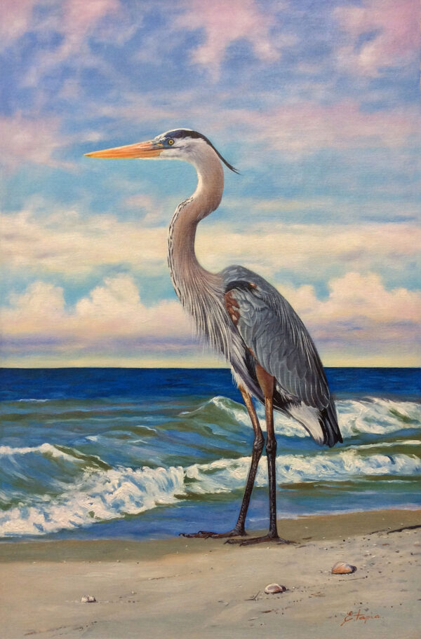 "Blue Heron on the Beach II" by Tapia, size 24w x 36h