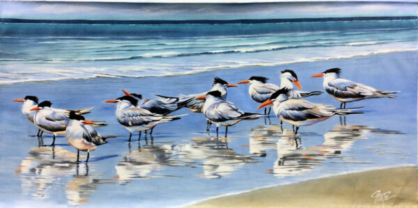 "Royal Terns" by Patricia Chute, size 60w x 30h