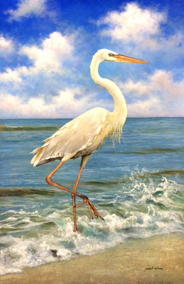 "White Egret" by Paul Wren, size 24x36"