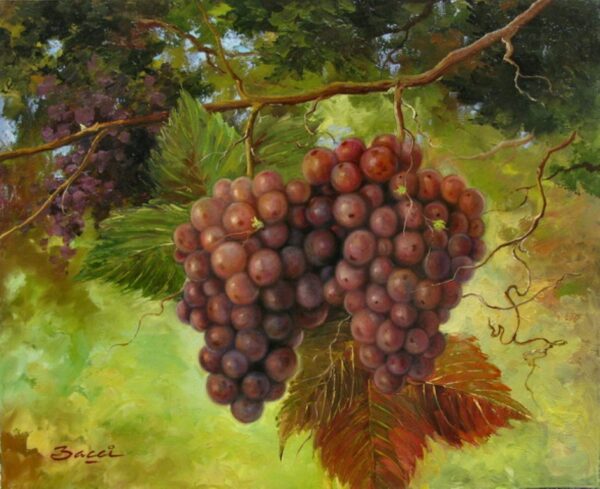 "Grapes" by Bacci, Size 20" x 16"